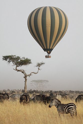 Tour-of-Kenya-&-Tanzania